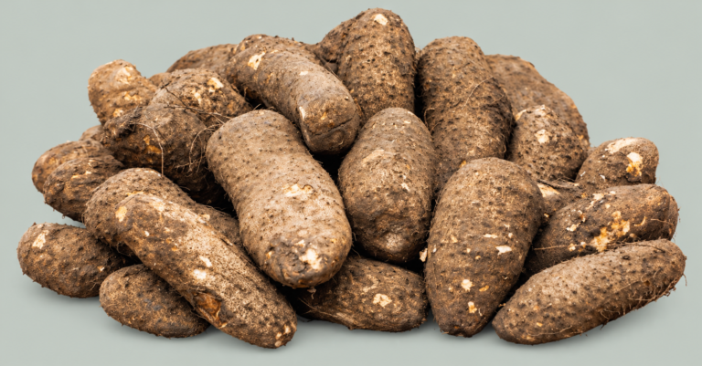 Fresh raw yam tuber